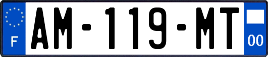 AM-119-MT