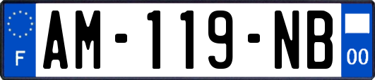 AM-119-NB