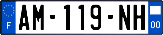 AM-119-NH