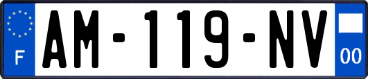 AM-119-NV