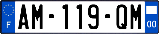 AM-119-QM