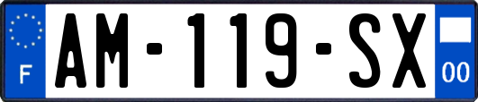 AM-119-SX