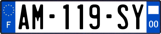 AM-119-SY
