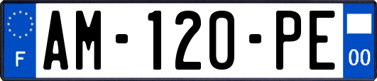 AM-120-PE