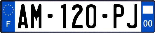 AM-120-PJ