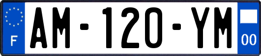 AM-120-YM