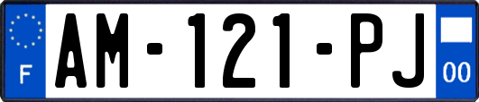 AM-121-PJ