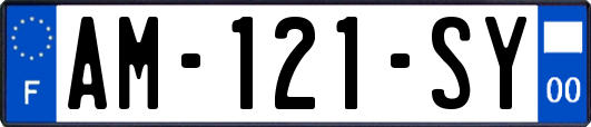 AM-121-SY