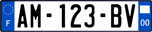 AM-123-BV