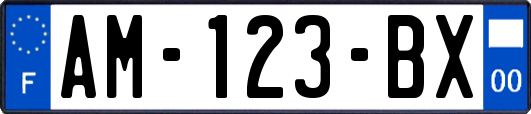 AM-123-BX