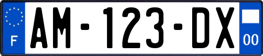 AM-123-DX
