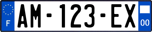 AM-123-EX