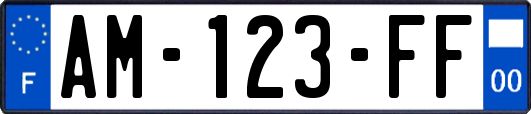 AM-123-FF