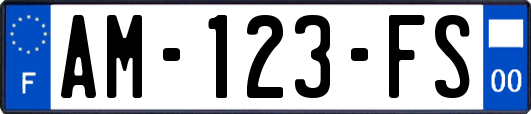 AM-123-FS