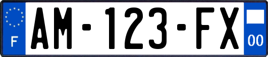AM-123-FX