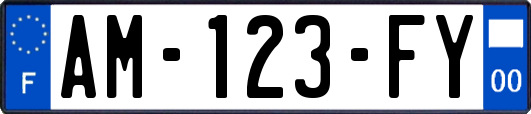 AM-123-FY
