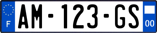 AM-123-GS