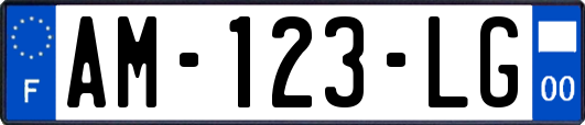 AM-123-LG