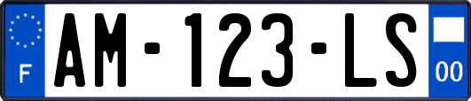 AM-123-LS