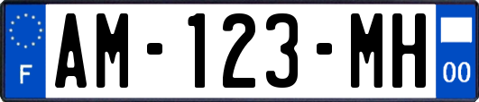 AM-123-MH