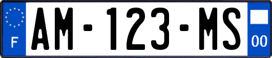AM-123-MS