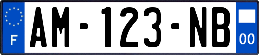 AM-123-NB