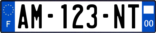 AM-123-NT