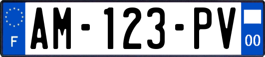 AM-123-PV