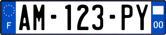 AM-123-PY