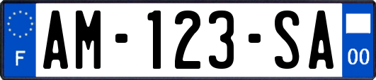 AM-123-SA