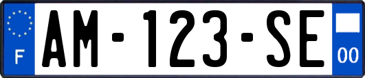 AM-123-SE