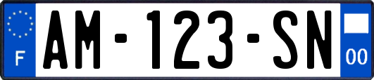 AM-123-SN