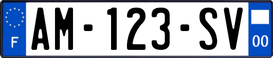 AM-123-SV