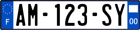 AM-123-SY