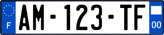 AM-123-TF