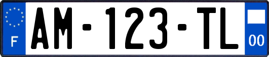 AM-123-TL