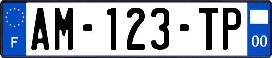 AM-123-TP