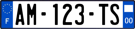 AM-123-TS