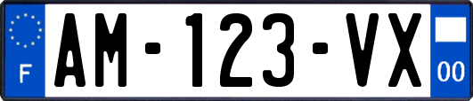 AM-123-VX