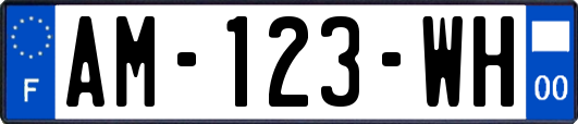 AM-123-WH