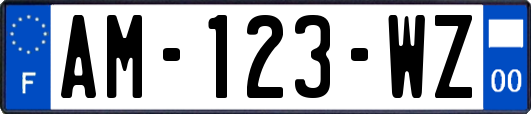 AM-123-WZ
