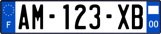 AM-123-XB