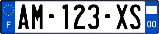 AM-123-XS