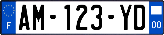 AM-123-YD
