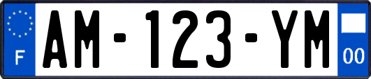AM-123-YM
