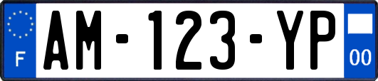 AM-123-YP