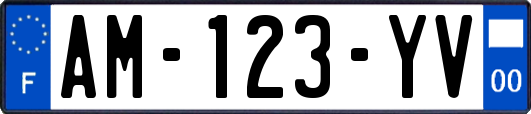 AM-123-YV