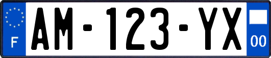 AM-123-YX