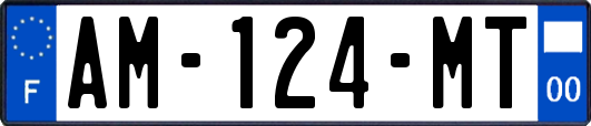 AM-124-MT