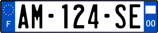 AM-124-SE